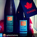 See Ya Later Ranch: Pinot Noir 2011